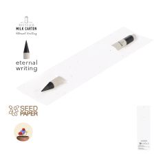 Evighetsblyant av resirkulerte melkekartonger i frøpapirinnpakning