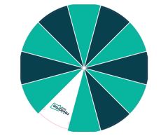 Ekstra plate til bord lykkehjul Ø30 - Eget design