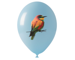 Fotoballonger / Fullfargeballonger med trykk