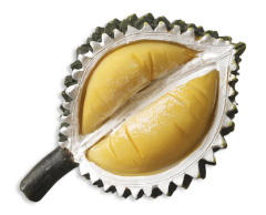 Durian frukt, 3D kjøleskapsmagnet, 62x40mm
