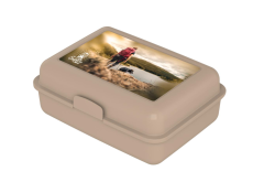 ECO Madkasse - Fremstillet af stivelse