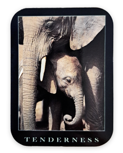 Elefantklistremerke 52x70mm