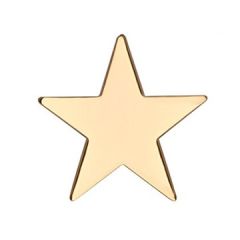 Guld stjerne pin
