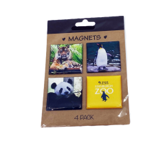 Magneter med epoksy 4-pakning 