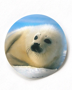 Hvit sel - 80mm rundt klistremerke
